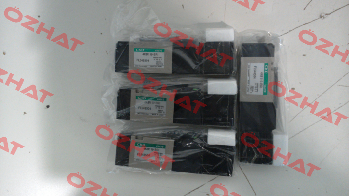 4KB119-00-BRI-FL548504-DC24V Ckd
