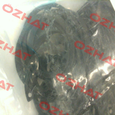 HO-131ST PA Rotor Clip
