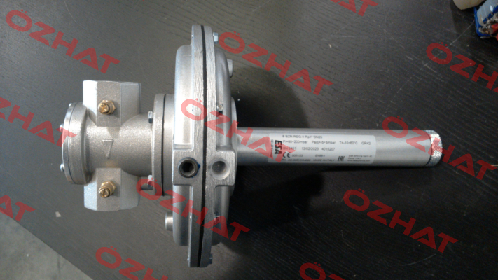 80590 / 8BZR-REG-II Rp1" ESA Pyronics International