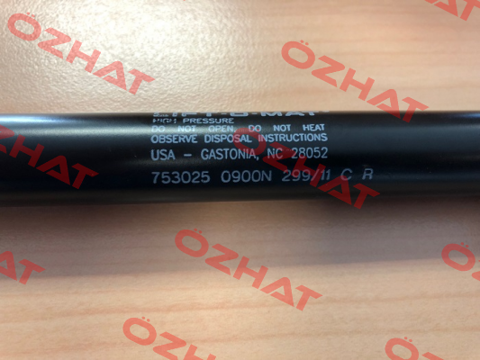 753025 Stabilus