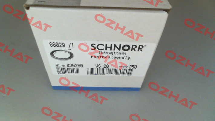 VS20SS Schnorr