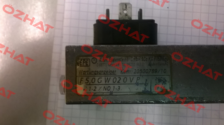 F5.0-GW-02-0V-P  Eppensteiner