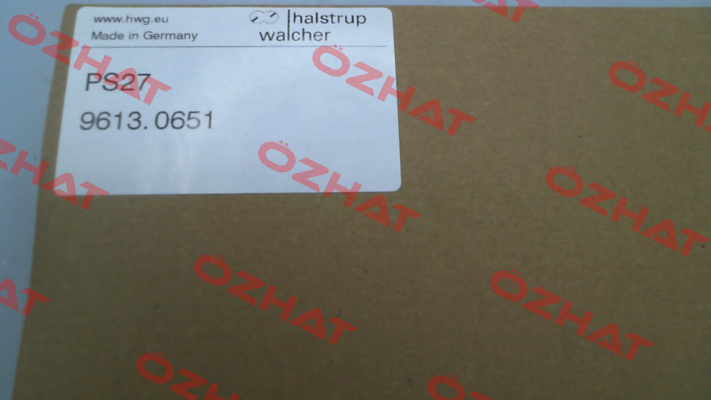 9613.0521 Halstrup Walcher
