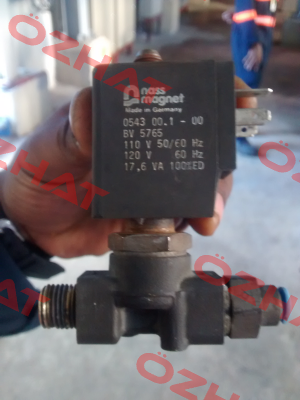 0543 00.1 - 00 = 113-030-0037  Nass Magnet