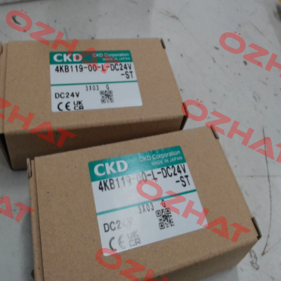 4KB119-00-L-DC24V Ckd
