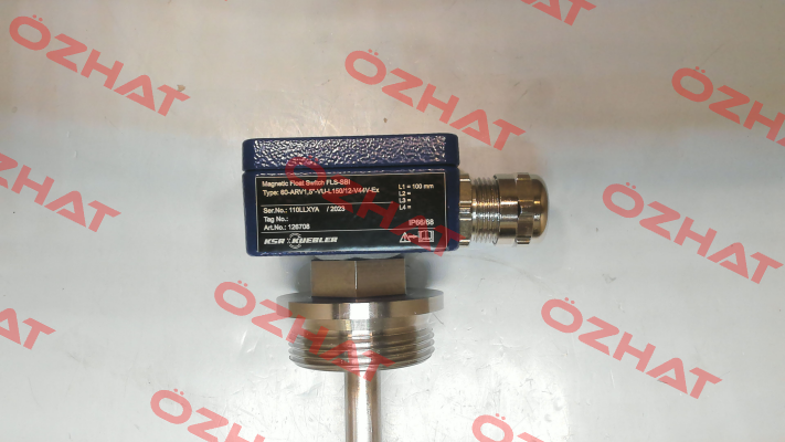 60-ARV1,5"-VU-L150/12-V44V-Ex KFG Level AG