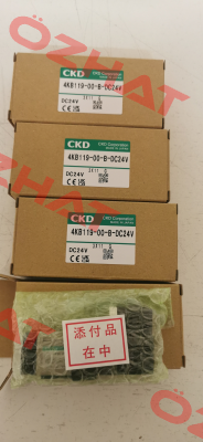 4KB119-00-B-DC24V Ckd